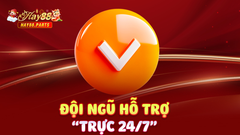 Đội ngũ hỗ trợ “trực 24/7”
