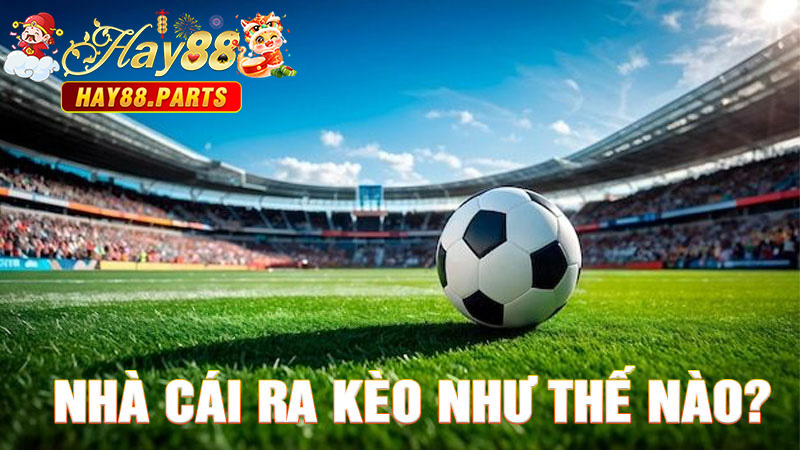Nhà cái ra kèo như thế nào?